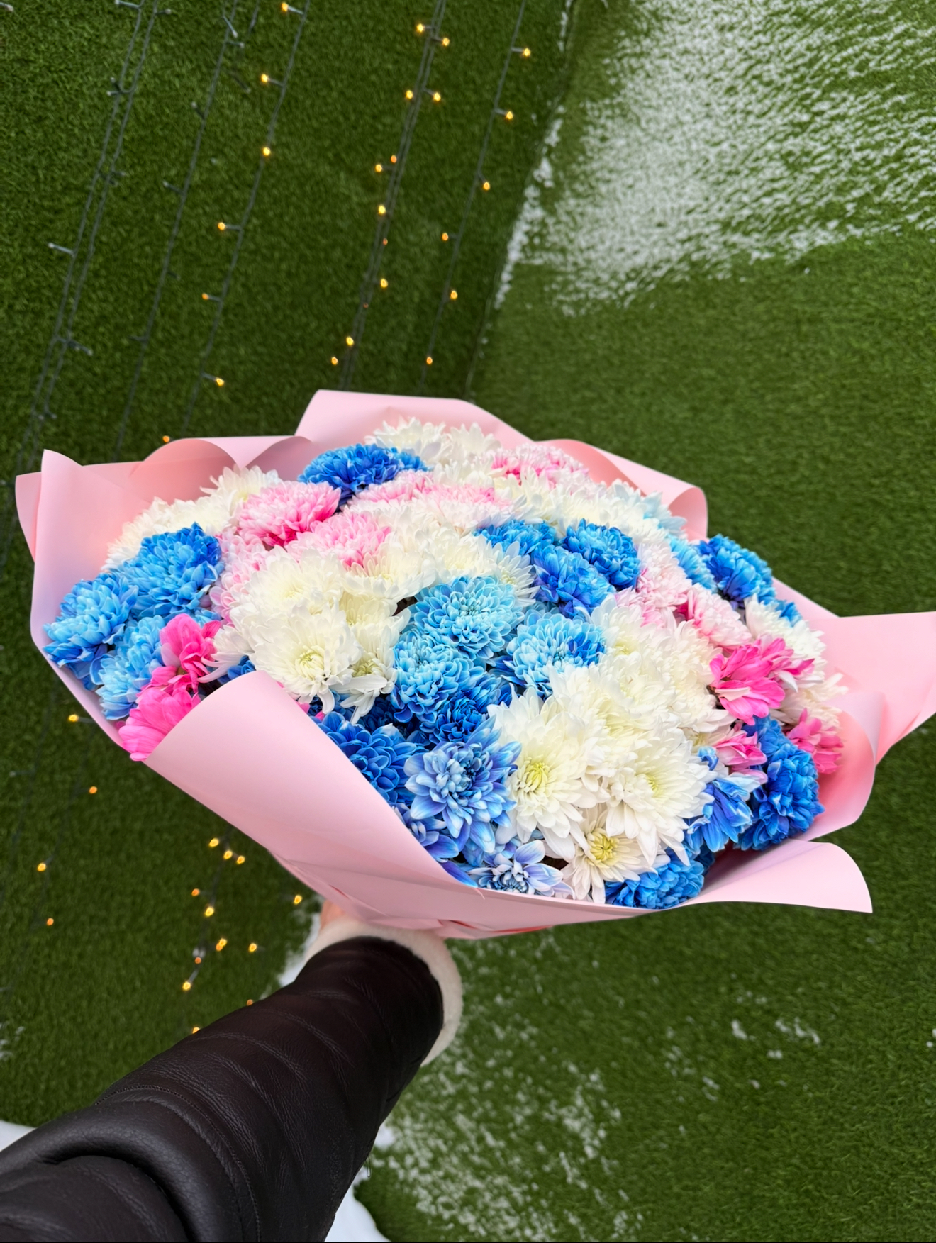 25 КРАШЕНЫХ ХРИЗАНТЕМ