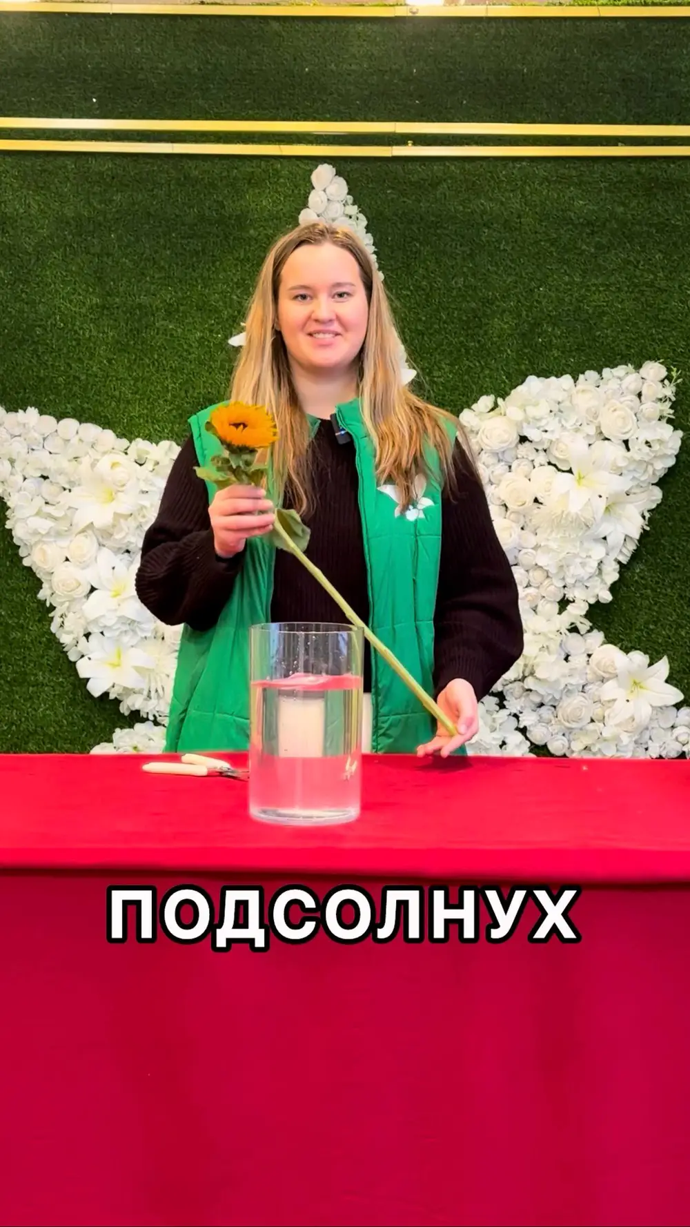 Клип №6 — Цветоптторг