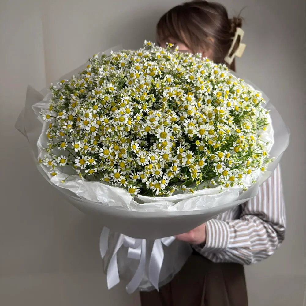 Букет из матрикарии (ромашек) 25 шт — Цветоптторг